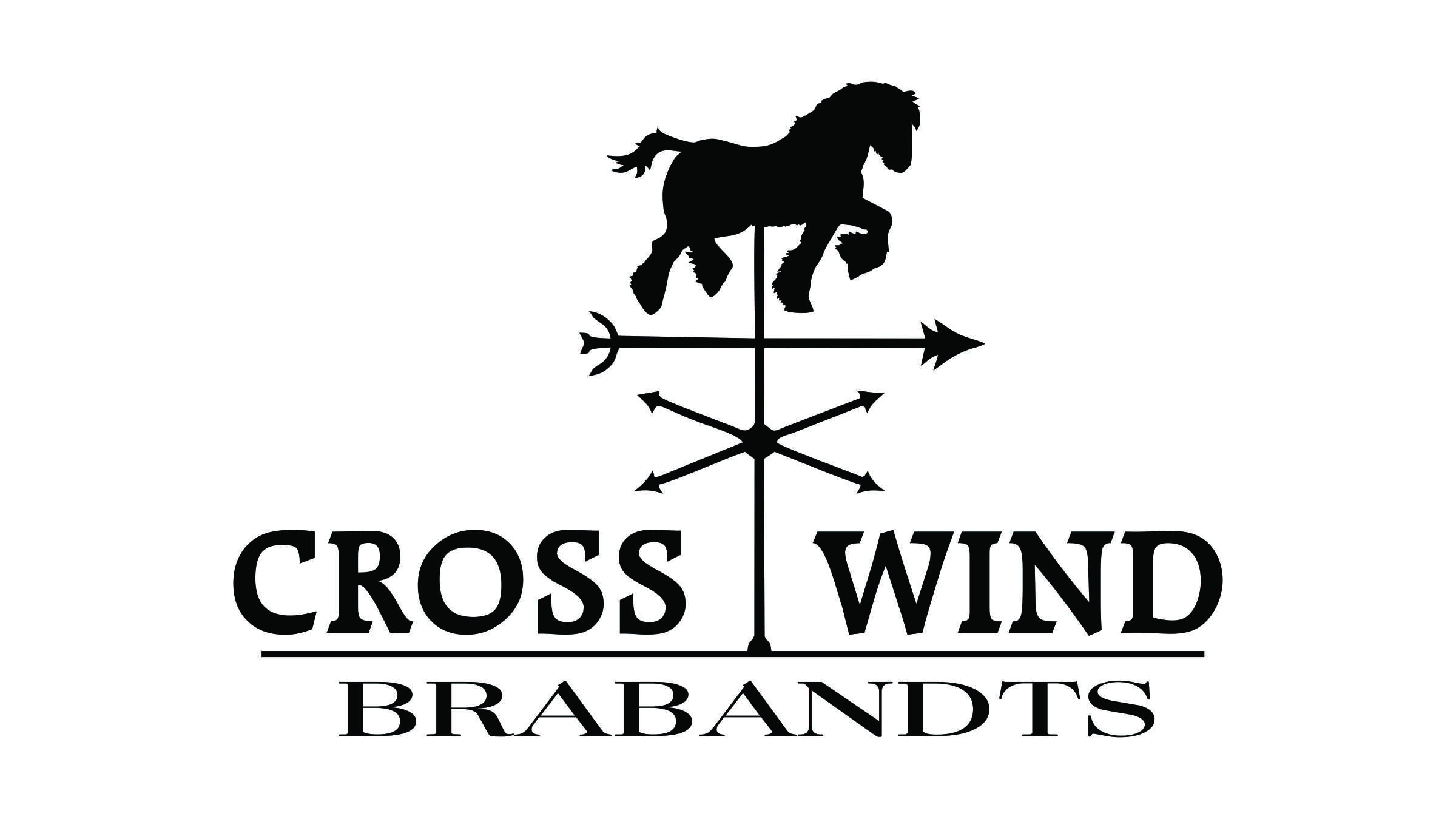 Cross Wind Brabandt Final Logo Design