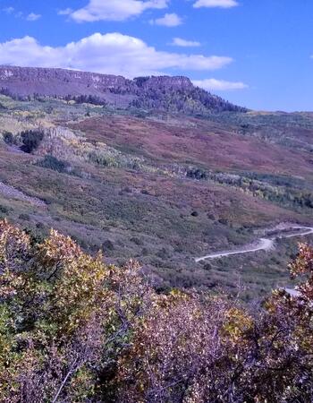 Picture of Coal Creek Point on The Gran Mesa