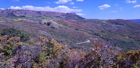 Picture of Coal Creek Point on The Gran Mesa