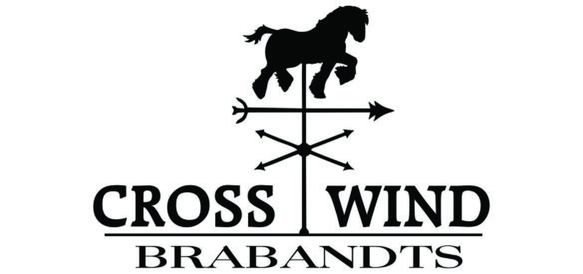 Cross Wind Brabandt Final Logo Design